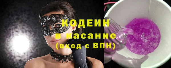 шишки Аркадак