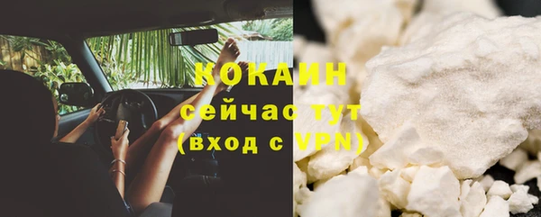шишки Аркадак