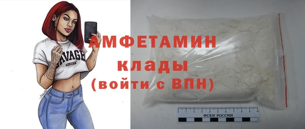 шишки Аркадак