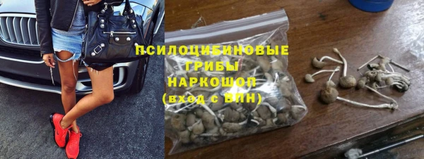 шишки Аркадак