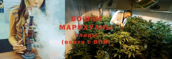 шишки Аркадак