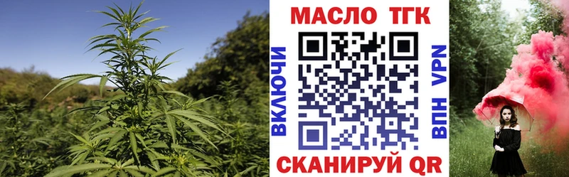 MEGA онион  Ленинск  ТГК жижа 