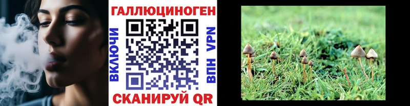 купить закладку мега как зайти Галлюциногенные грибы ЛСД Ленинск